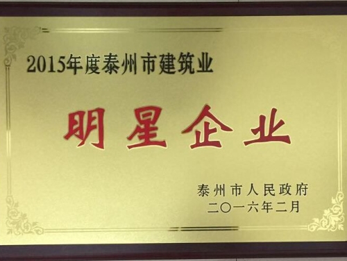 2015年度泰州市建筑業(yè)明星企業(yè)