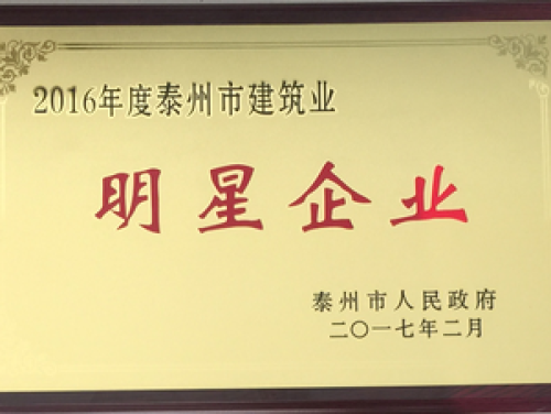 2016年度泰州市建筑業(yè)明星企業(yè)